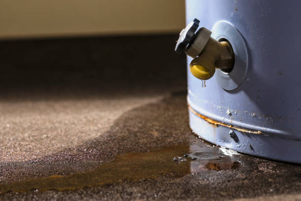 Best Flooded house restoration  in Pittsburg, CA