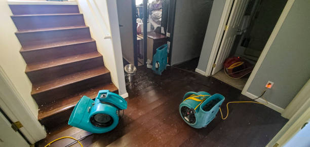 Best Flood restoration services  in Pittsburg, CA
