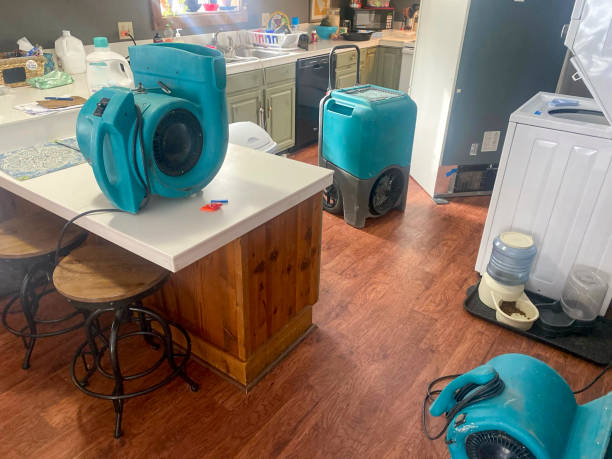 Best Professional water damage repair  in Pittsburg, CA