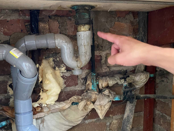 Best Basement water damage restoration  in Pittsburg, CA