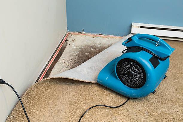 Best Ceiling water damage repair  in Pittsburg, CA